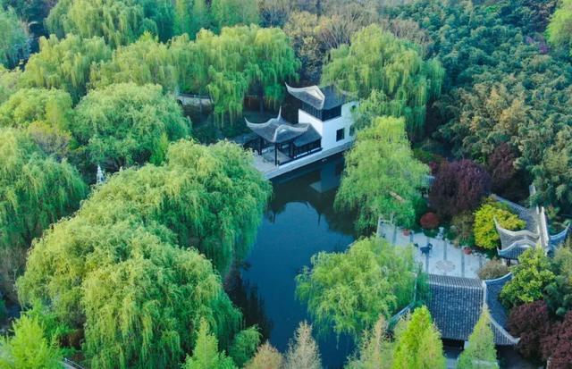 7月26日，郑州绿博园见“郑”美好·清凉消暑季将盛大启幕