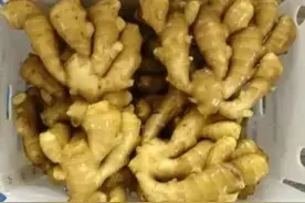 三伏天，睡前把 “ 生姜 ” 涂在脚底，坚持7天，3个好处收入囊中！图片