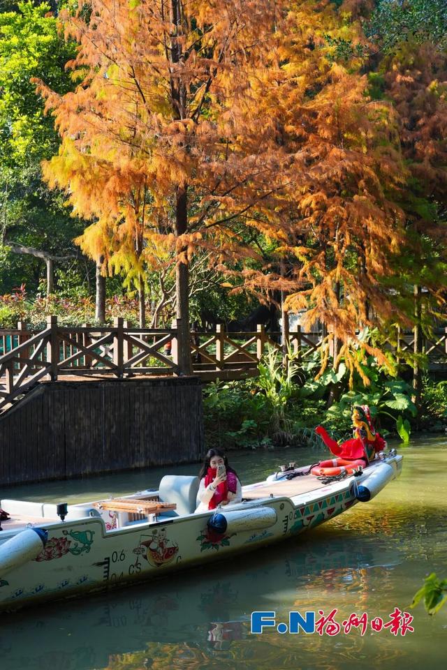 最佳游览时间约半个月！福州这里迎来醉美冬季观赏期
