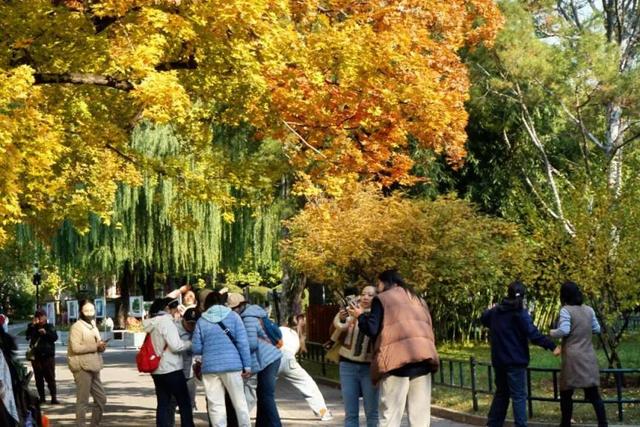 海淀这个免费公园，“藏”着秋天的所有颜色——