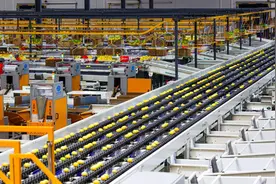 岁末经济微观察｜出口全国第一，一颗安岳柠檬何以走向世界？图片