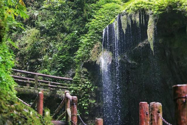 离开浪浪山，趁着周末正好到成都的山里来浪一浪！