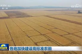 各地加快建设高标准农田图片