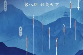 《中国中医药大会》第八期：小针藏着大智慧图片