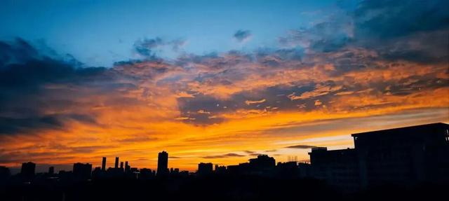 最好的秋天，在华师！