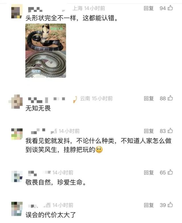 男子误将眼镜王蛇当乌梢蛇，挂脖玩耍被咬身亡！村干部：蛇是死者哥哥抓的，被咬一两个小时就去世