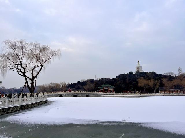 雪后的北海，水鸟舞出冬日最灵动的画卷