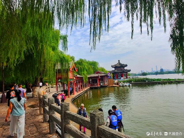 明湖垂柳曼妙多姿，游人如织景致如画