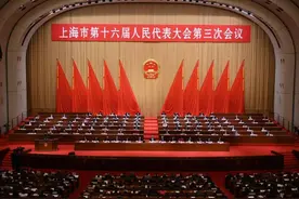 大江东丨上海两会手记：从10万元到10亿元，城市与企业的相互赋能图片