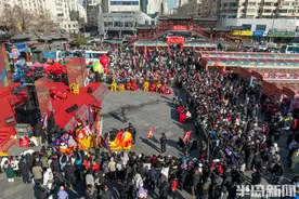 狮王争霸，精彩上演！图片