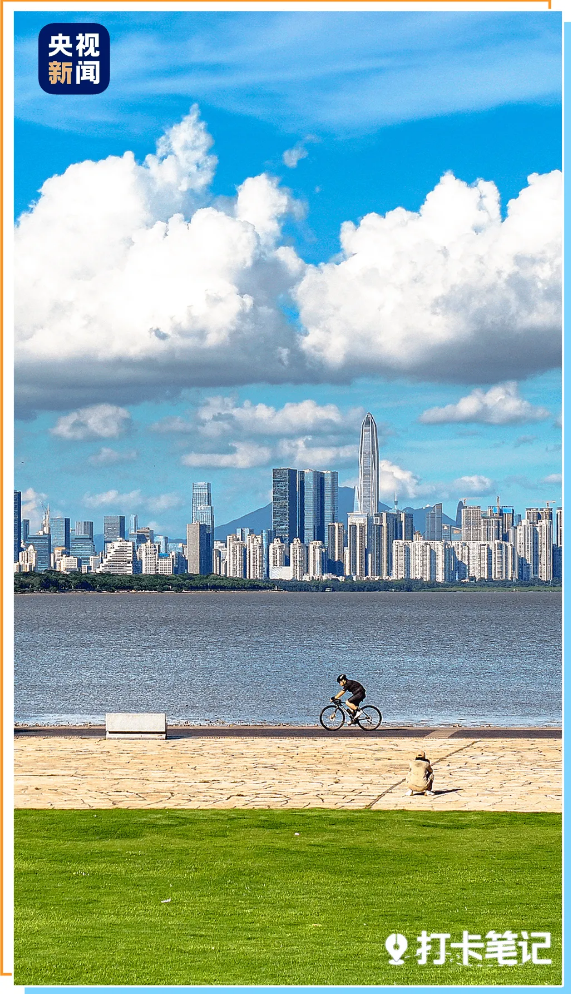 去粤港澳这篇就够了！最新指南→