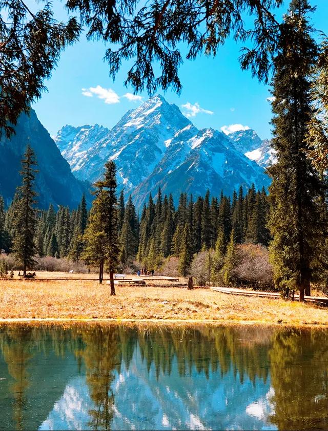 青睐绵阳 ‖ 红透了!周末去平武,沿着“百里彩林走廊”看一场雪山彩林“大片”~