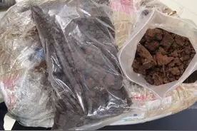 截获土壤21.88千克！明令禁止入境！图片