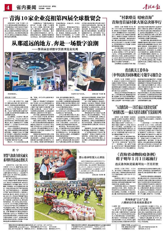 从那遥远的地方，奔赴一场数字浪潮 ——第四届全球数字贸易博览会见闻