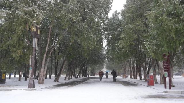 京城初雪！一大波雪景美图来了