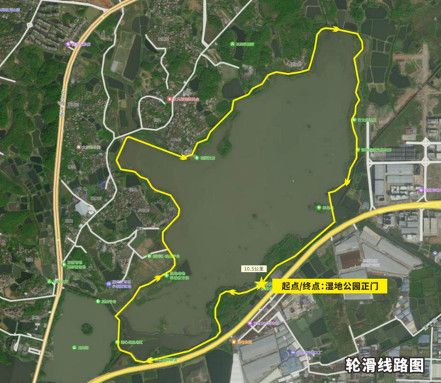 来三水见明星、听音乐会、看烟花汇演！2026年元旦活动准备好了！