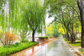 李村河张村河“两河”生态廊道又现新“取景地”，来看！图片