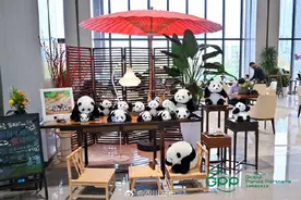 757只！全球大熊猫圈养种群数量更新图片