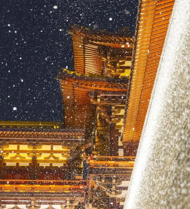 加场！上新！洛阳这里好戏不断！