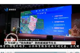 【践行总书记嘱托 我们在行动】产业与城市“双向奔赴” 荆州新城拔节生长图片