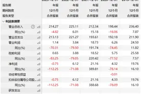 阿迪达斯30多年来首亏：持续看好中国市场 “椰子鞋”合同是否续签受关注图片