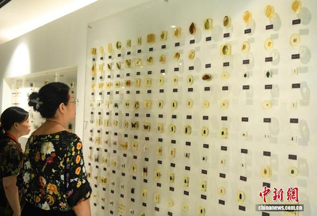 海外华文媒体走进中国·三峡柑橘文化时空馆参观 了解千年柑橘历史