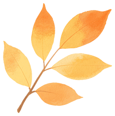刷爆朋友圈！镇海这片绝美花海就藏在……