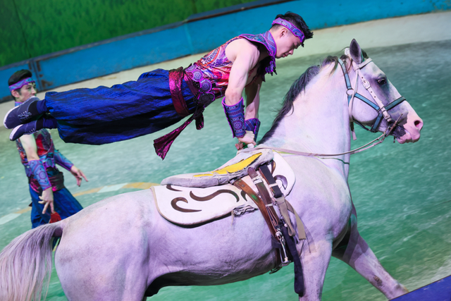 “马年春节不来看马戏，怎么叫过年？”