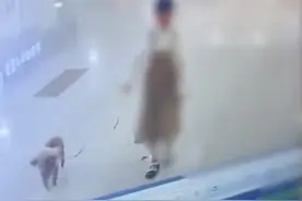 小狗牙齿被掰断，竟是11岁女孩下的手，称“想看狗会不会咬断自己舌头”图片