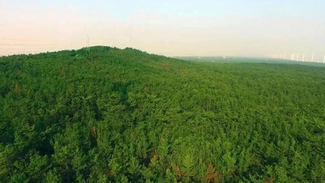 好客山东美食争霸赛 | 图览山海“饺”好运！