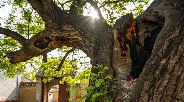 黄土山峦间藏着杨家将传说