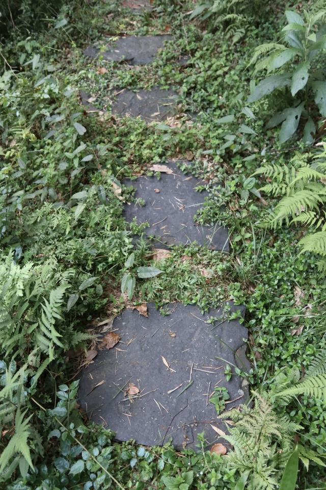 茶马古道上的高山之城，一面静界一面狂飙
