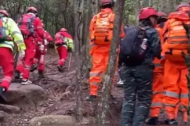 莆田8岁男孩深山失踪超8天，搜救犬队：连续几天下雨，现场气味少图片