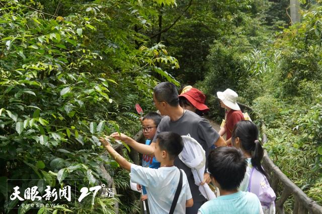 避暑纳凉贵州行 | 影视体验 + 山地探秘的亲子民宿新玩法，收获成长的暑期之旅