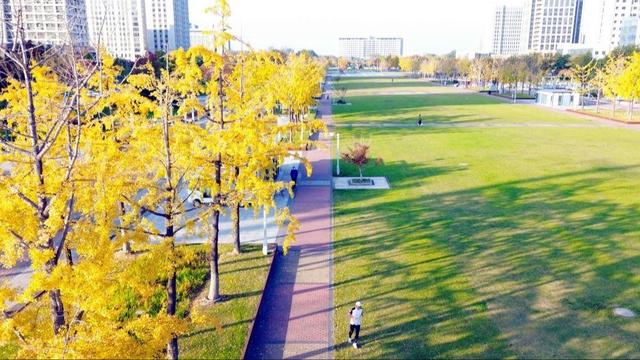 🧡宿城，已经美成这样！