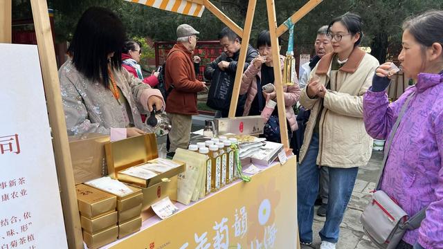 桐乡市集丰富游客消费，京津冀豫菊花联展不仅能赏，还能品