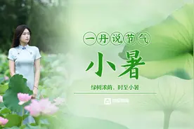 一丹说节气|⑪小暑：绿树浓荫，时至小暑图片