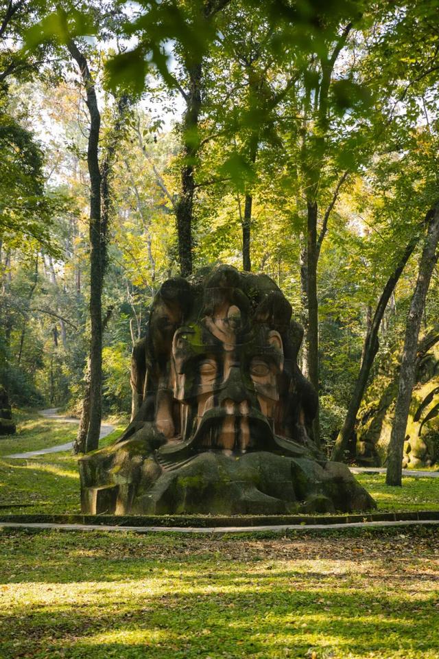 东湖秋日图鉴③｜磨山秋笺：一叶一诗，帧帧藏秋韵