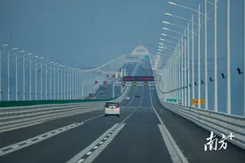 港珠澳大桥游，珠海旅行社老板爆单了图片