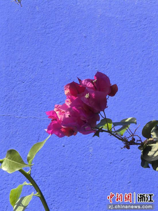 赭红与钴蓝：一座城的灵魂栖居