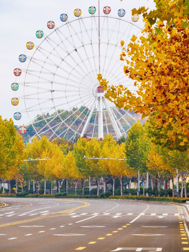 速冲！到这里get明星同款秋日大片！