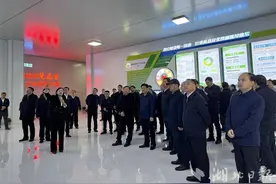 2024年全国油茶产业发展现场会在随州举行 炎帝故里“绿色油库”“丰”景美图片