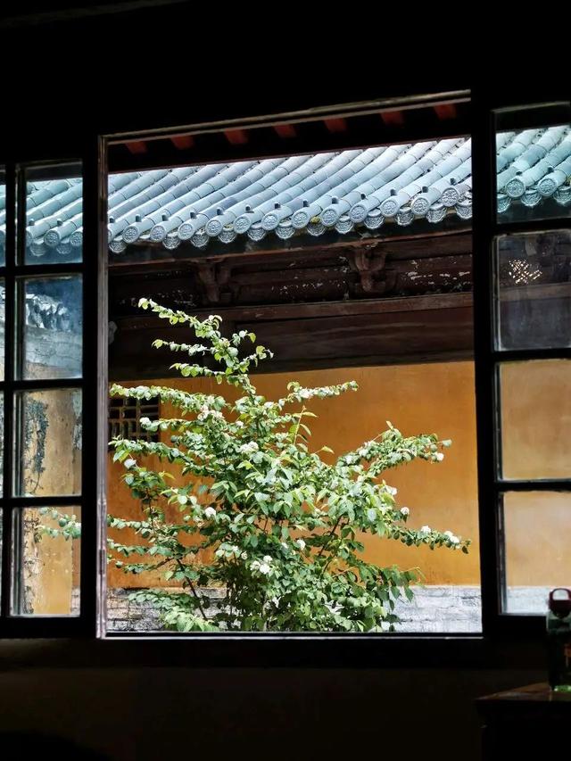 想搬去杭州了