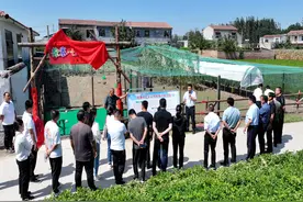 孙贯星：徐寨村的七彩山鸡与乡村振兴梦图片