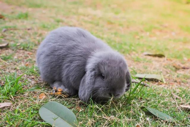 最好的秋天，在华师！