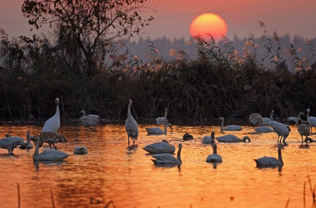心动吗?这些冬日美景错过了就要再等一年!