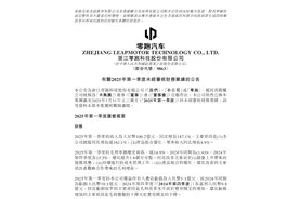 零跑交出最好一季报“成绩单”：营收超百亿 毛利率创历史新高图片