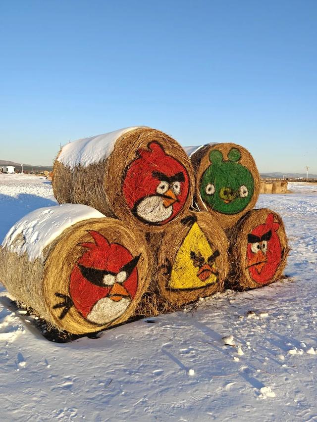 别问冷不冷，就问明天10点哈素海你到不到！冬捕、温泉、美食这里全！都！有！