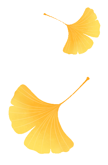 限时绝美！年度顶流！