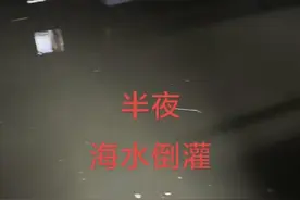 透视海水倒灌：天文大潮等因素如何在各地制造多年罕见的景象图片